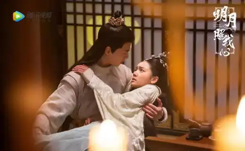 从双世宠妃到明月照我心的高概念变奏之路