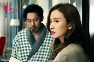 组图离婚律师吴秀波姚晨探讨情感困惑