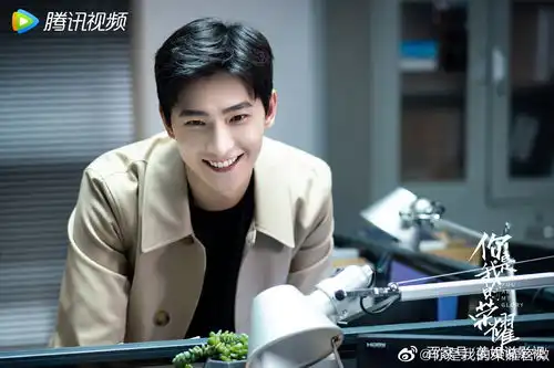 你是我的荣耀好看吗
