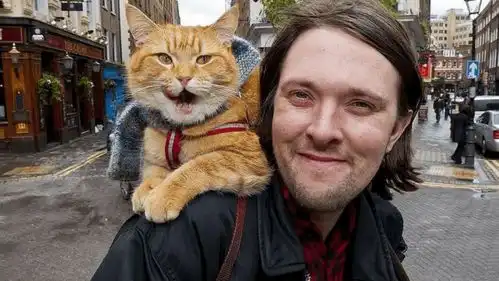 流浪猫鲍勃雕像来了曾感动全球网友,谁不想养橘猫