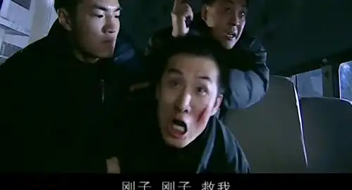 使命犯罪分子为了营救同伙,公然与警方对抗,接头展开枪战
