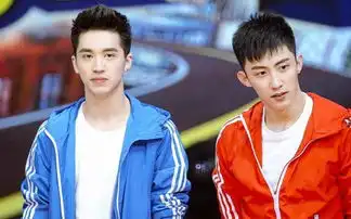 上瘾黄景瑜被封杀快本不播极速前进换人