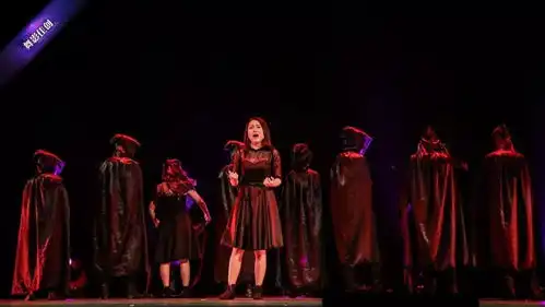 四川师大舞蹈学院2015级mfa研究生毕业晚会音乐剧方向导师赵梅精彩剧照