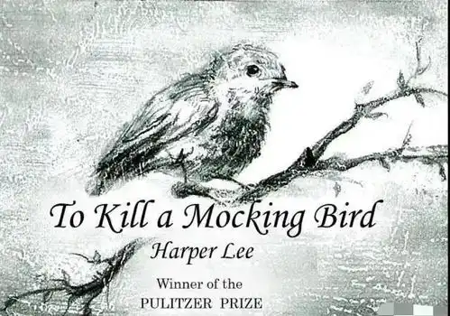 美国顶尖高中的英语课怎么上
