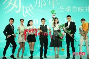 匆匆那年首映倪妮票房多少都嫁冯绍峰