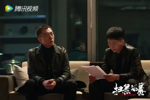 扫黑风暴让留白去承载推理的逻辑主创访谈