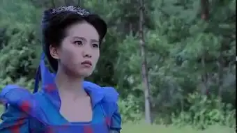 情天奇侠

