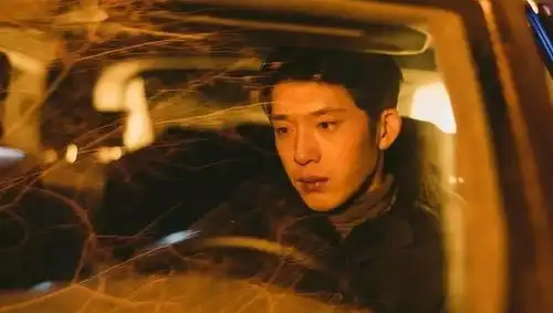 后来的我们,都绿了现任
