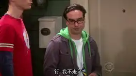 生活大爆炸出场谢耳朵莱纳德佩妮霍华德拉杰
