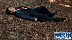 哈利波特与死圣放剧照揭秘上下集分割点