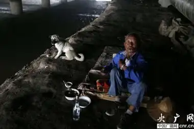 图片故事六旬翁的桥洞安居生活