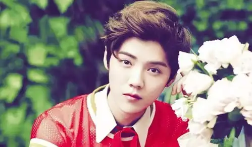 直斥畸形偶像文化著名编剧狠批流量明星,肖战王一博位列其中