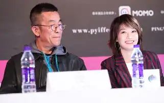 组图平遥电影展找到你发布会姚晨马伊琍亮相
