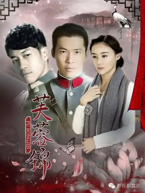 盘点9部在其他地方播了,却一直没有上星的好剧
