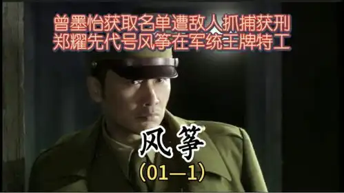 曾墨怡获取名单遭敌人抓捕获刑,郑耀先代号风筝在军统王牌特工