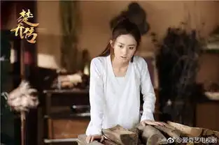 特工皇妃楚乔传剧情简介至大结局主题曲是张碧晨和赵丽颖合唱的望
