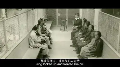 被大西洋沉没的泰坦尼克,被偏见沉默的中国幸存者