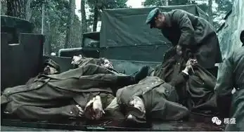 豆瓣评分83,这部波兰战争片尺度比南京还要大