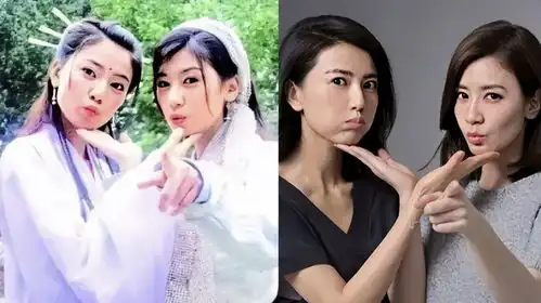 高圆圆苏有朋晒图为贾静雯打call,网友梦回倚天屠龙记
