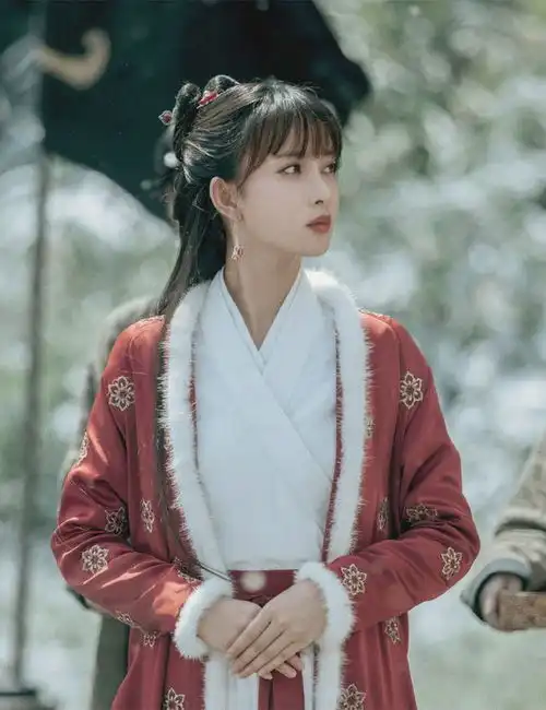 雪中悍刀行要来了招商流程已启动,各角色古装造型一览