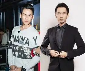 厉害了明星的诞生竟然撞脸半个娱乐圈