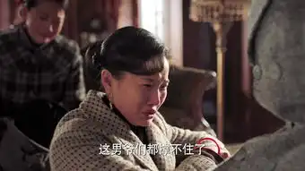 少帅于凤至剧照