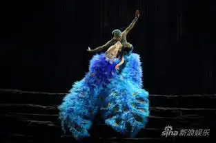 国家大剧院舞蹈节开幕杨丽萍孔雀亮相
