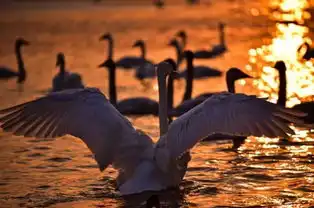 飞驰人生取景地被曝光这里没有魔鬼赛道,却有惊艳美景