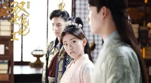 双世宠妃3让丫环当女主怎么样
