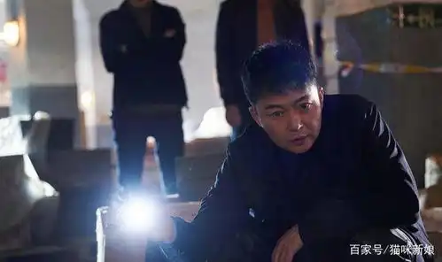扫黑风暴太好看张艺兴江疏影演技太嫩了