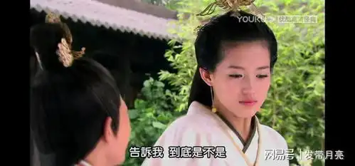 美人心计张嫣年幼入宫,一生孤苦,唯爱一人,却没能与他终老
