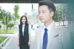 翻译官暖心文艺杨幂黄轩牵手话甜蜜
