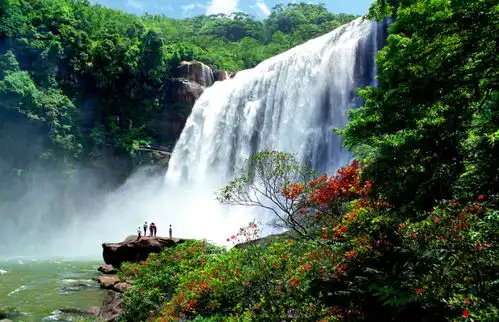 必看浙江人,现在到贵州避暑,所有景区门票高速5折