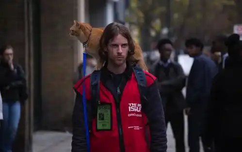 畅销书流浪猫鲍勃作者将被迫出售住房,再度流浪