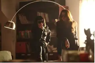 谁能上两张翻身姐妹的剧照啊
