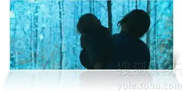 图雪花秘扇剧照