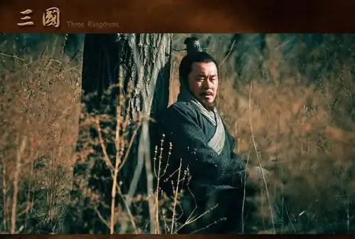 这个绝世神兵曹操刘备孙权都会使,罗贯中却没有搞明白
