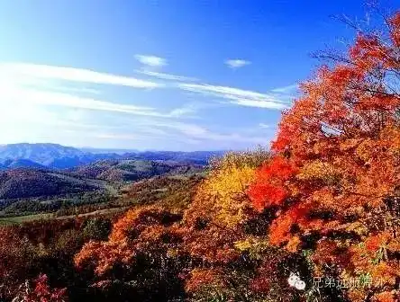 11.19号南京栖霞山.赏漫山红枫
