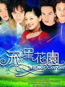 各地的流星花园,每版的剧照