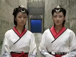 紫薇嫁人,小燕子当妈,金锁你看着办吧
