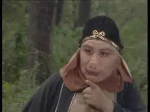 中国导演一姐因这部电视剧成名