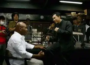 从成龙到甄子丹好莱坞缘何青睐中国功夫明星
