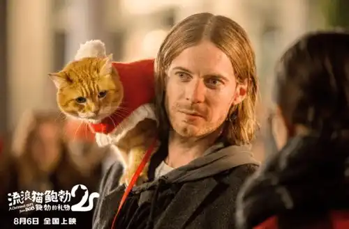 明日上映吸猫党看过来流浪猫鲍勃2治愈你