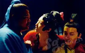 精品购物指南新版红楼梦的雷与红

