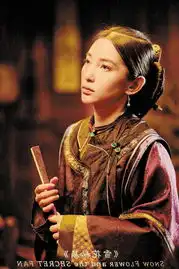 雪花密扇浪费了一个好题材