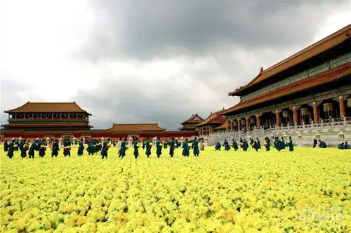 机不可失,失不再来镇海金秋菊展仅剩一周,没看的小伙伴们可要抓紧啦