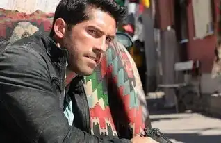 斯科特阿金斯为什么不红