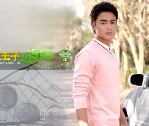 大型青回现场王子变青蛙15年后重聚,霸道总裁明道却缺席