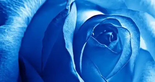 2024年,4大生肖吉星高照,幸运降临,事业宏图大展,走路捡到钱
