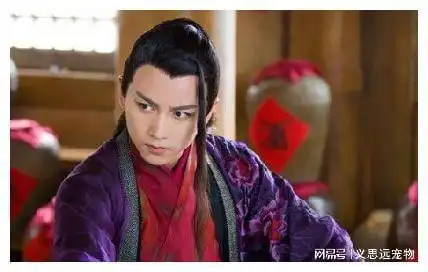 盘点金庸武侠世界4项之最,倚天屠龙记无一人上榜
